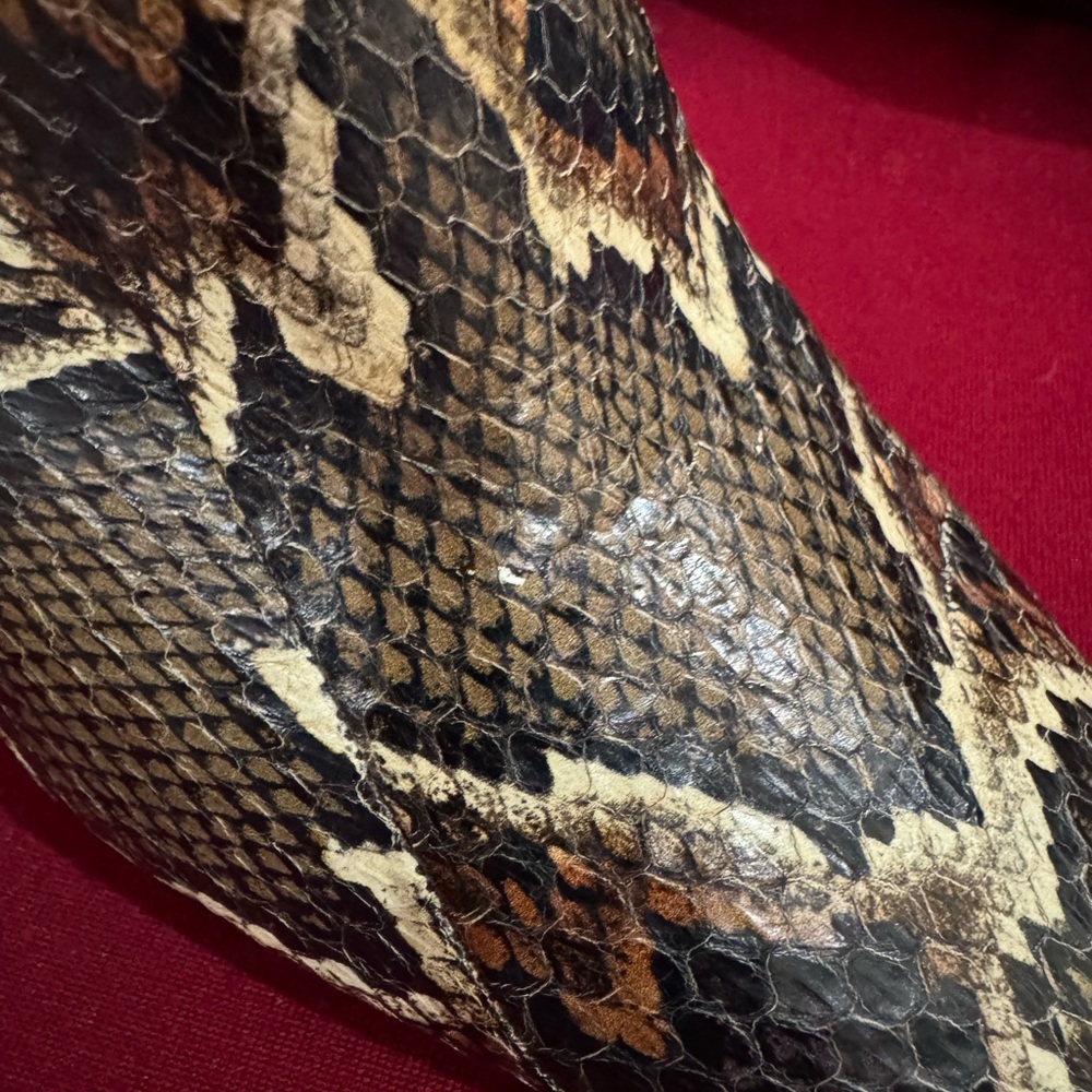 Coach Evelyn Multicolor Genuine Snakeskin Heeled Boots - Picture 9 of 11